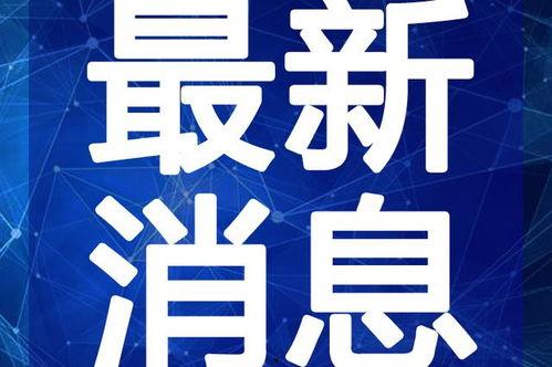 迷你道具爆料视频大全最新